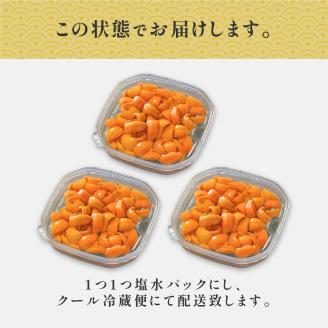 無添加　極上エゾバフンウニ塩水パック 300g≪配送期間A≫2023年6月上旬～8月中旬迄