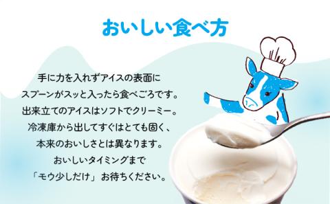 濃厚グラスフェッド ミルクアイスクリーム（120ml×6個）『大地のアイス モウっと登別ミルクセット』（lb10-01）　[rb-0202]