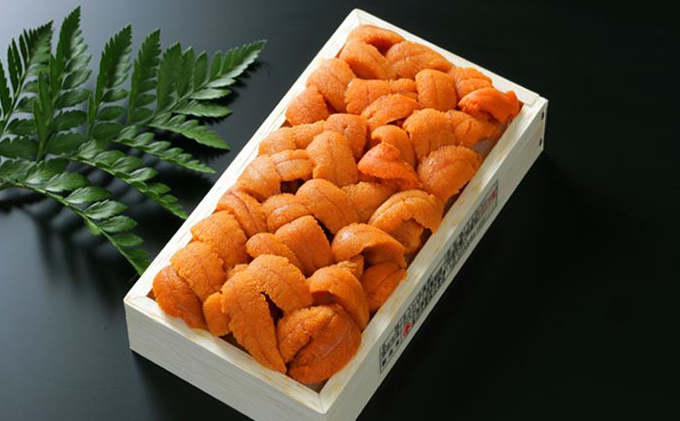 極上 エゾバフンウニ 折詰 100g・塩水パック 100g 食べ比べセット　配送期間A：4月上旬～5月下旬迄　[mh-0246_A]