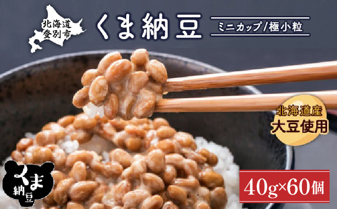 北海道くま納豆ミニカップ60個　極小粒 [dh-0813]