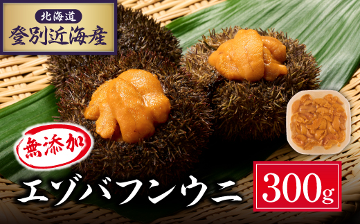 北海道 登別近海産　無添加　極上エゾバフンウニ塩水パック300g ※2025年6月より発送 [mh-0262]