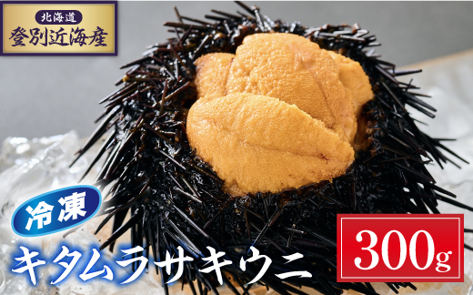 登別近海産 キタムラサキウニ 冷凍パック300g【6月以降順次配送】 [mh-0775]