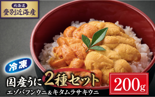 登別近海産 エゾバフンウニ&キタムラサキウニ 2種食べ比べセット 冷凍パック 200g【6月以降順次配送】 [mh-0697]