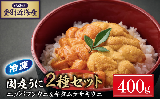 登別近海産 エゾバフンウニ&キタムラサキウニ 2種食べ比べセット 冷凍パック 400g【6月以降順次配送】 [mh-0698]