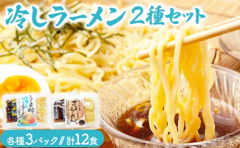 冷し麺（ ラーメン ）12食セット　[ms-0153]