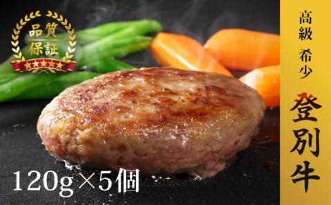 登別牛100％使用ハンバーグ 120g×5個　[na-0163]
