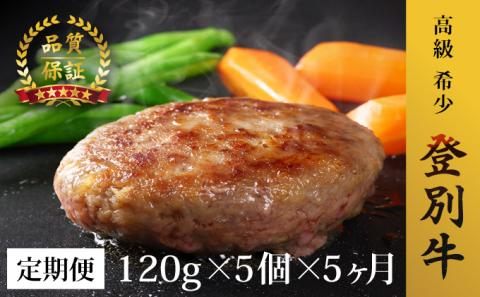 肉のあさひ 登別牛100％使用ハンバーグ 120g×5個[全5回お届け]　[na-0184]