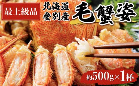 北海道登別産 旬の毛蟹500g前後×1杯　[gm-0406]