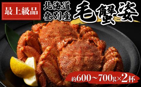 北海道登別産 旬の毛蟹600g?700g×2杯　[gm-0404]