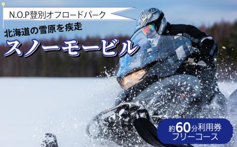 N.O.P登別オフロードパーク スノーモービル 約60分利用券（フリーコース）　[nt-0559]