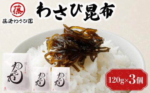 藤崎わさび園　わさび昆布120g×3個　[fw-0063]