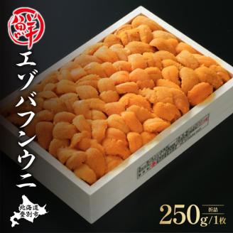 特選エゾバフンウニ折詰250g!!ウニ丼約3杯分 C:1月下旬〜3月下旬迄 [mh-0471_C]