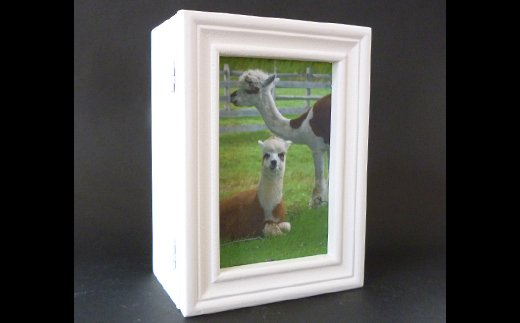 プリザーブドフラワー　フラワーフォトボックス（パープル）【14000601】