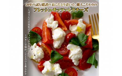 モッツァレラチーズ6個入セット【15000101】