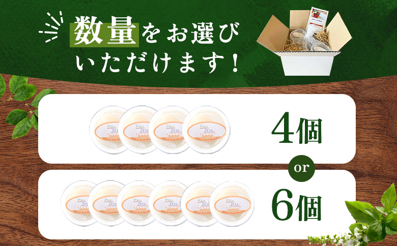 モッツァレラチーズ4個入セット【15000301】 4個入