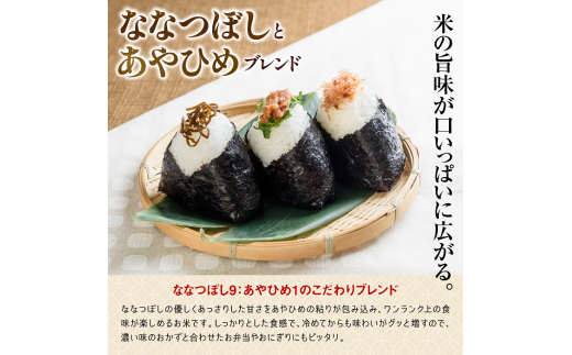 【無洗米】北海道米う米蔵５ｋｇ×２（計10kg）【29002303】