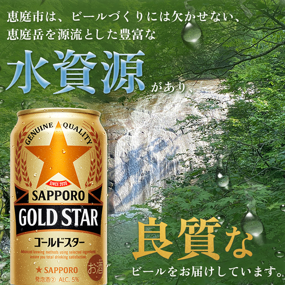 『定期便：全6回』 GOLDSTAR350ml×24本 ゴールドスター【30008601】