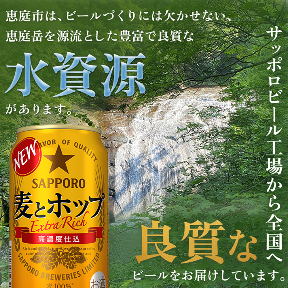 『定期便：全2回』麦とホップ350ml×24本【30013801】