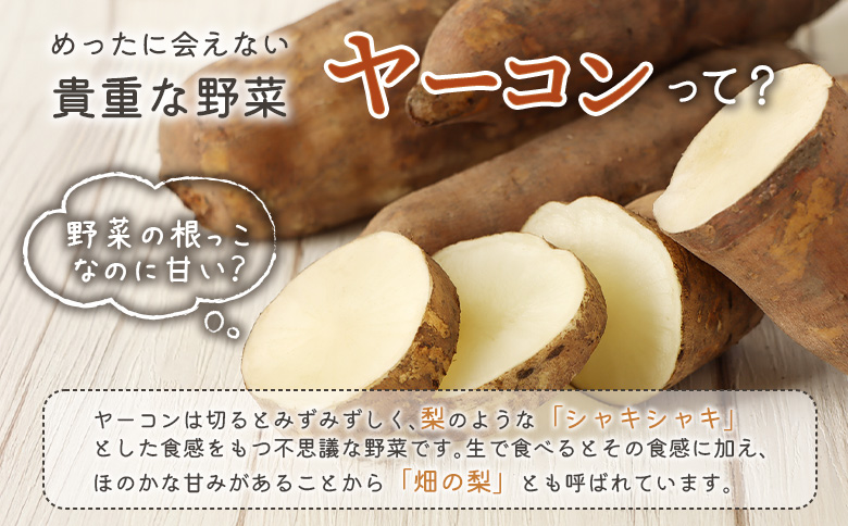 【北海道恵庭市産】余湖農園のヤーコン4kg【31001401】