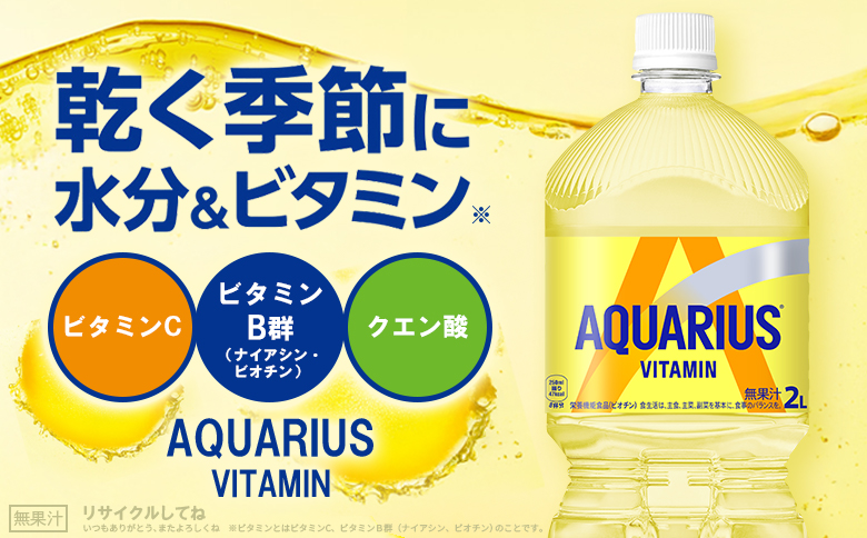 【定期便：全2回】アクエリアス ビタミン 2LPET×6本【380086】