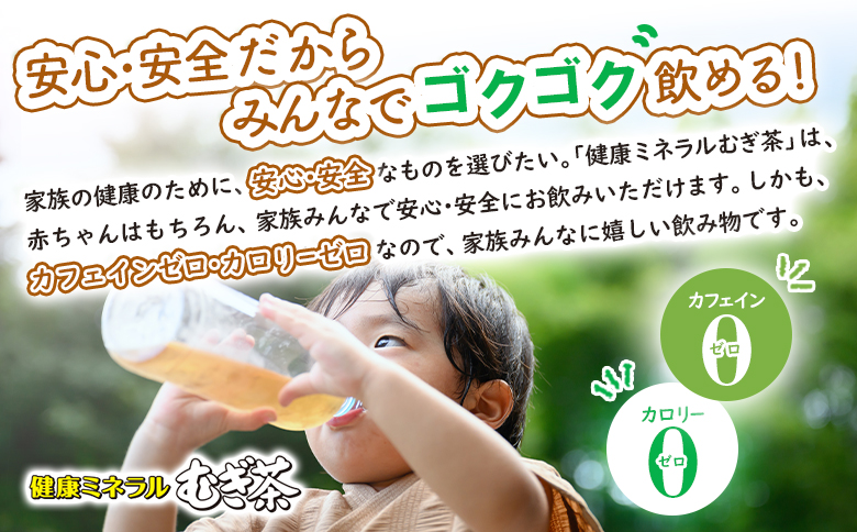 『定期便：全7回』健康ミネラルむぎ茶2L×6本×2箱【500019】