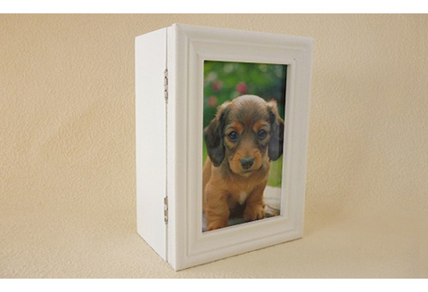 プリザーブドフラワー　フラワーフォトボックス（ピンク）【140005】