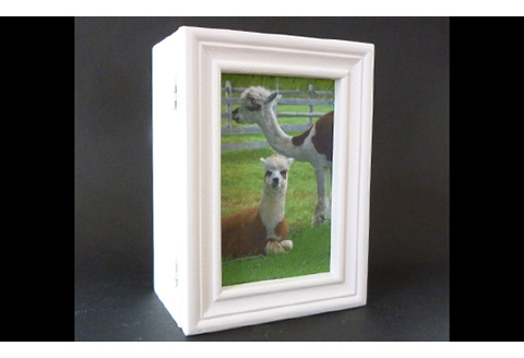 プリザーブドフラワー　フラワーフォトボックス（パープル）【140006】