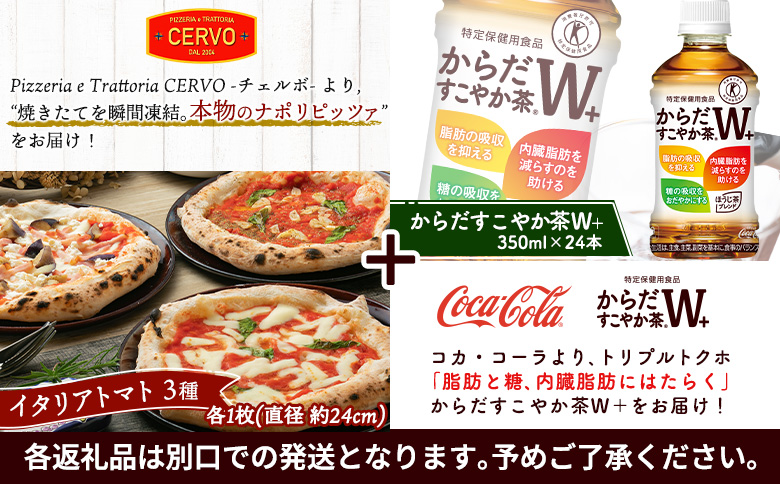 石窯ピッツァ3枚（トマト3種）とからだすこやか茶のセット【C99008】