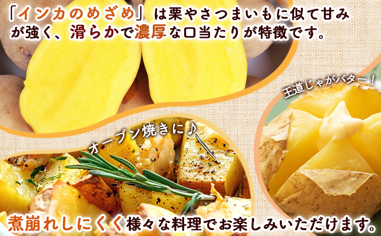 【越冬じゃが】インカのめざめ混合10kg【83001102】