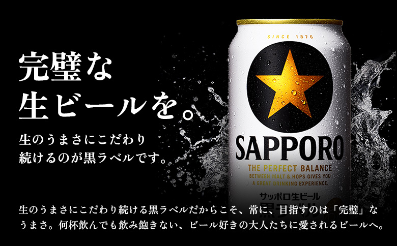 サッポロ黒ラベル500ml×24本【930050013】