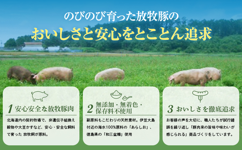 【定期便：4回】北海道産放牧豚 無添加ポークウインナー ×20パック【120078】