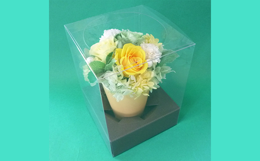 プリザーブドフラワー　ポットアレンジ（イエロー）【14001401】