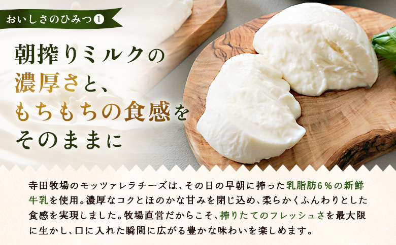 モッツァレラチーズ6個入セット（冷凍）【15000201】 6個入