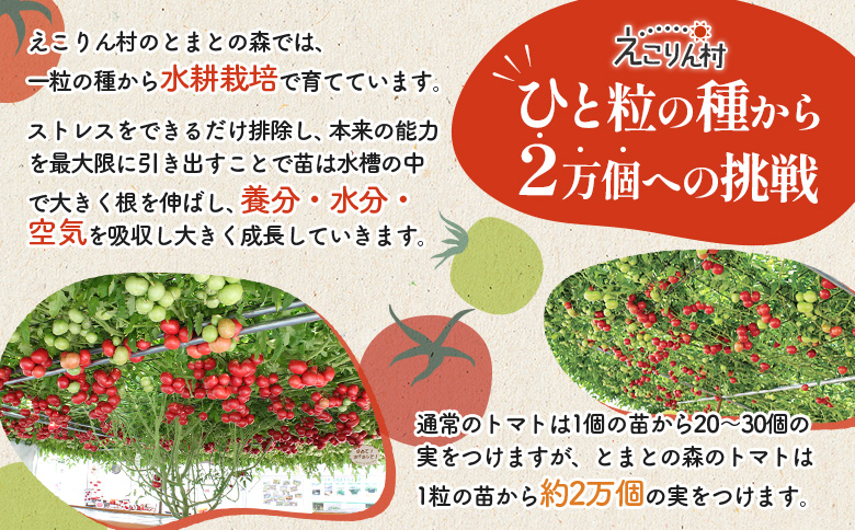 えこりん村トマト使用のポテトチップス60g×3袋【190011】