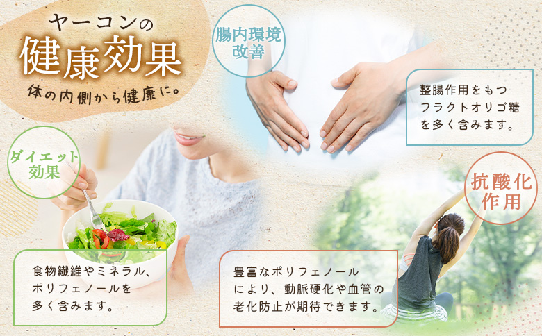 【北海道恵庭市産】余湖農園のヤーコン4kg【31001401】