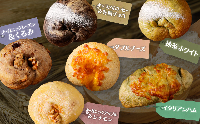 【定期便：全３回】トモヱベーグル ギフトセット「北の麦輪（むぎわ）１８個セット」【33000801】