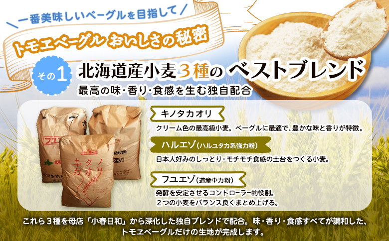 トモヱベーグル「クリームチーズブルーベリー」10個セット【330031】