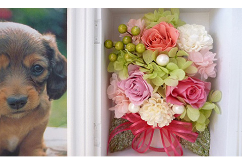 プリザーブドフラワー　フラワーフォトボックス（ピンク）【140005】