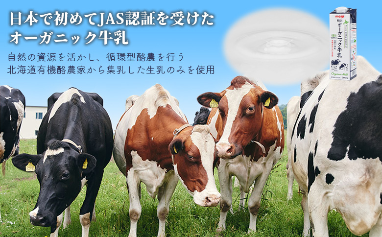 《配送地域限定》【定期便2回】明治オーガニック牛乳 900ml【3本】【730015】 3本(定期便2回)