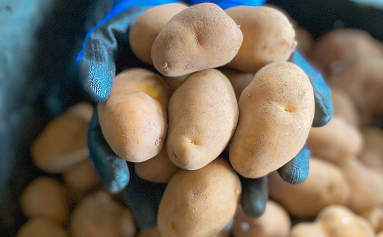 【越冬じゃが】インカのめざめ混合5kg【83001203】