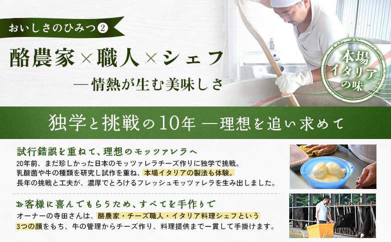 モッツァレラチーズ6個入セット（冷凍）【15000201】 6個入