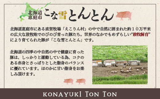 北海道雪国放牧豚 こな雪とんとんフランクフルト・ソーセージセット【19006201】