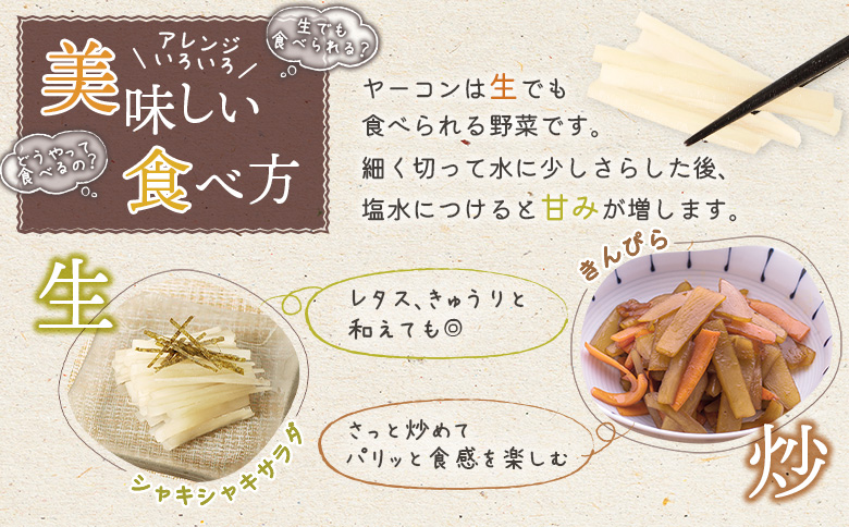 【北海道恵庭市産】余湖農園のヤーコン4kg【31001401】