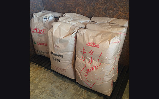 トモヱベーグル 「オーガニックレーズン＆くるみ」１０個セット【33000501】