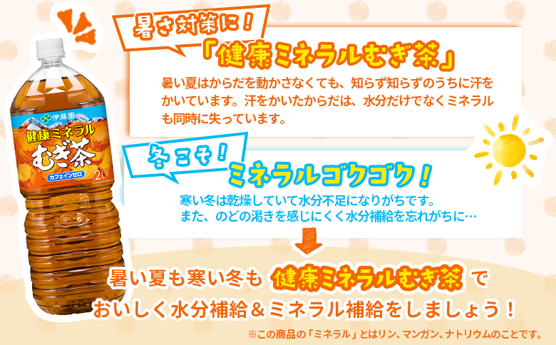 『定期便：全4回』健康ミネラルむぎ茶2L×6本【500009】