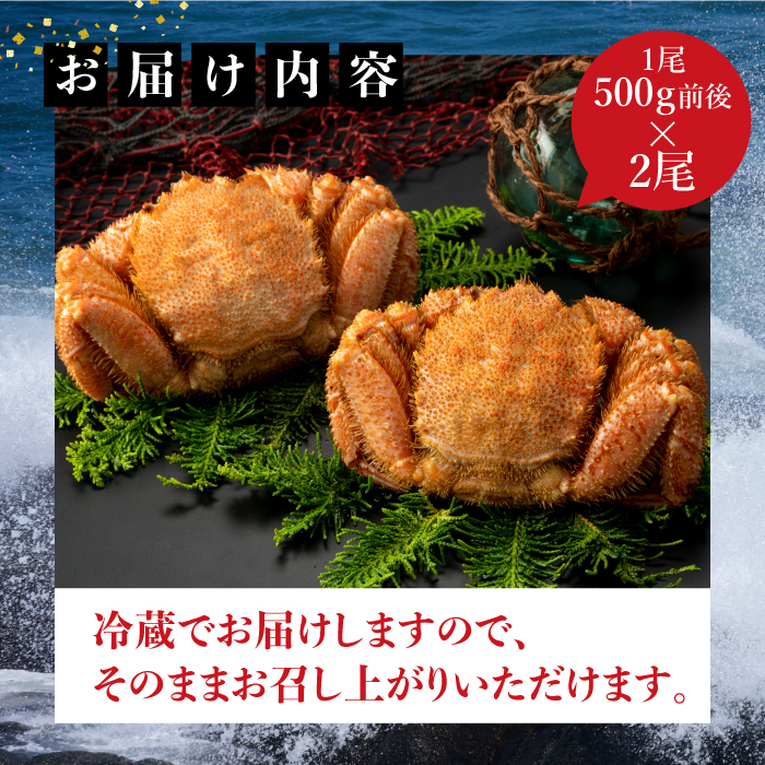 【配達地域限定】『冷蔵』朝茹で直送毛ガニ500g前後×2杯【52001203】