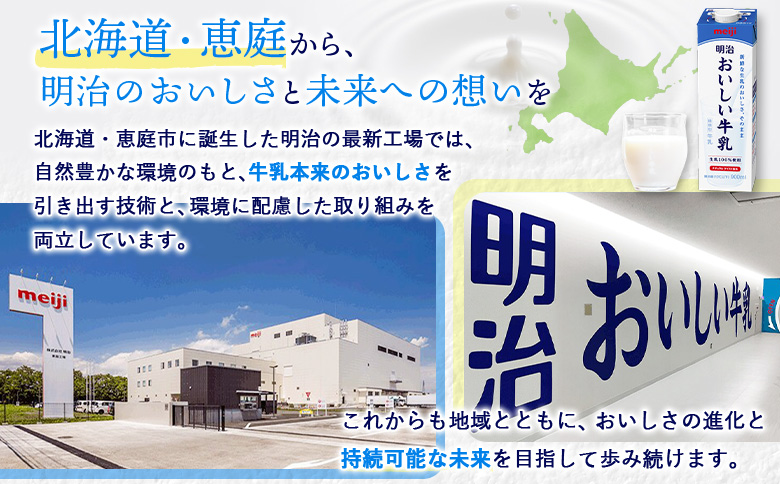 《配送地域限定》【定期便12回】明治おいしい牛乳 900ml【2本】【730072】 2本(定期便12回)