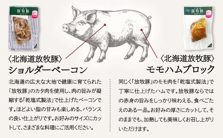 「北海道放牧豚ショルダーベーコンとモモハムブロック」とトモヱベーグル「北の麦輪」10個セット【C99031】