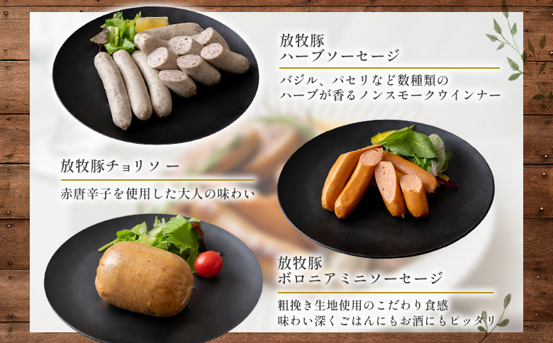 【ご自宅用】北海道産放牧豚 無添加ウインナーセット【120009】 単品（1セット）