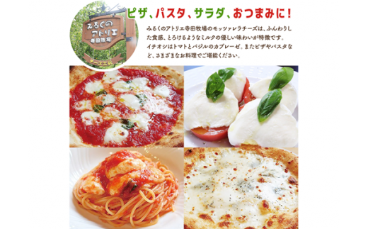 モッツァレラチーズ6個入セット【15000101】